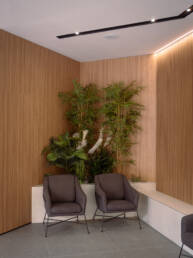 apertura clínica dental Montequinto